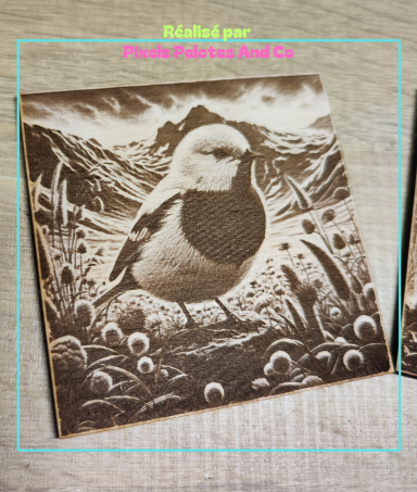 Gravure photo du joli petit oiseau