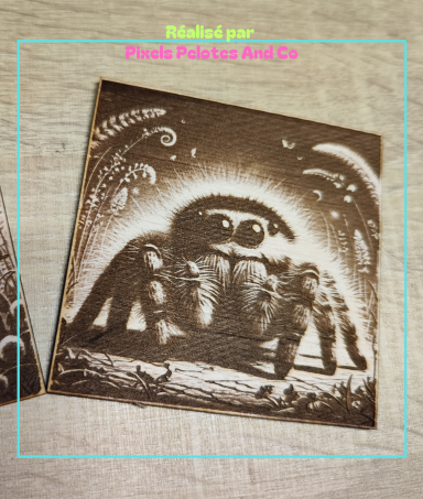 Gravure photo de la mignonne araignée